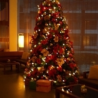 2013.12.27-386.JPG