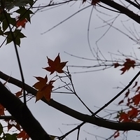 2013.12.28-062.JPG