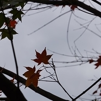 2013.12.28-063.JPG