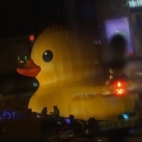 2013.12.26-205.JPG