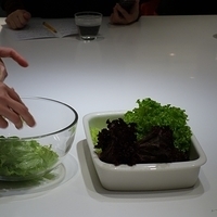 2013.01.09-mdm-046.JPG