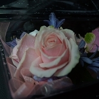 2014.05.23-001.JPG