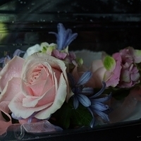 2014.05.23-002.JPG