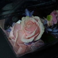 2014.05.23-003.JPG