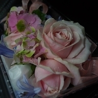 2014.05.23-004.JPG