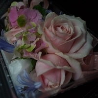 2014.05.23-005.JPG