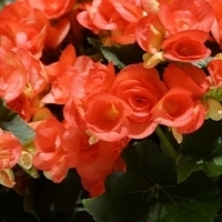 2014.03.28-024.JPG