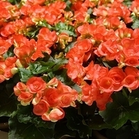 2014.03.28-025.JPG