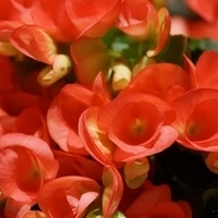 2014.03.28-027.JPG