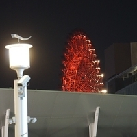 2014.03.28-076.JPG