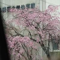 2014.03.29-014.JPG