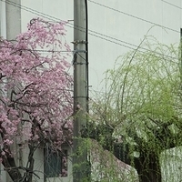 2014.03.29-016.JPG