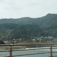 2014.03.29-019.JPG