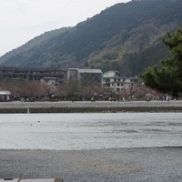 2014.03.29-026.JPG