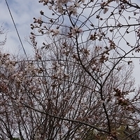 2014.03.29-034.JPG