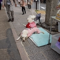 2014.03.29-035.JPG