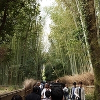 2014.03.29-052.JPG