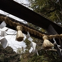 2014.03.29-062.JPG