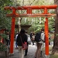 2014.03.29-066.JPG