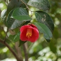 2014.03.29-075.JPG