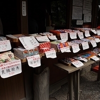 2014.03.29-080.JPG