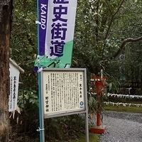 2014.03.29-081.JPG