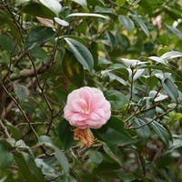 2014.03.29-087.JPG