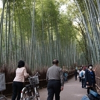 2014.03.29-088.JPG
