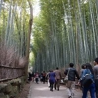 2014.03.29-097.JPG