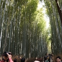 2014.03.29-109.JPG