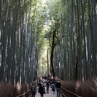 2014.03.29-113.JPG