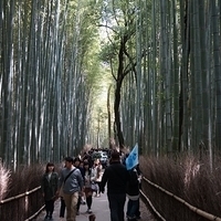 2014.03.29-127.JPG