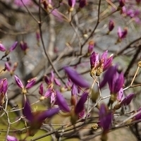 2014.03.29-131.JPG