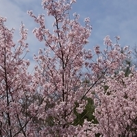 2014.03.29-134.JPG