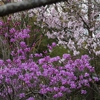 2014.03.29-136.JPG