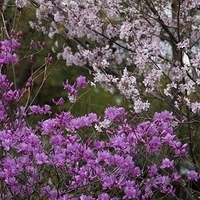 2014.03.29-137.JPG