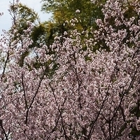 2014.03.29-141.JPG