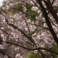 2014.03.29-142.JPG
