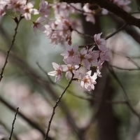 2014.03.29-144.JPG