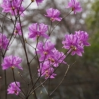 2014.03.29-149.JPG