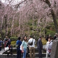 2014.03.29-151.JPG
