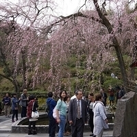2014.03.29-152.JPG