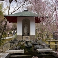 2014.03.29-160.JPG