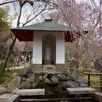 2014.03.29-161.JPG