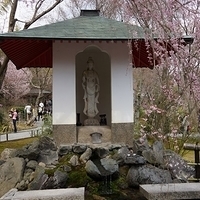 2014.03.29-162.JPG