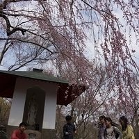 2014.03.29-170.JPG