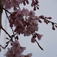 2014.03.29-173.JPG