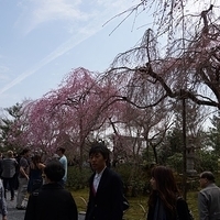 2014.03.29-176.JPG