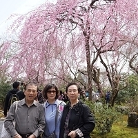 2014.03.29-180.JPG