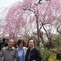 2014.03.29-181.JPG